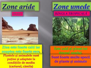 Zone aride