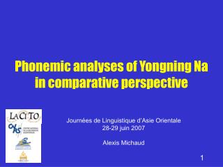 Phonemic analyses of Yongning Na in comparative perspective