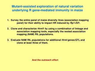 Mutant-assisted exploration of natural variation underlying R gene-mediated immunity in maize