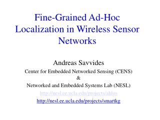 Fine-Grained Ad-Hoc Localization in Wireless Sensor Networks