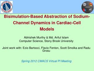 Bisimulation-Based Abstraction of Sodium-Channel Dynamics in Cardiac-Cell Models