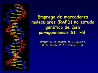Emprego de marcadores moleculares (RAPD) no estudo genético de Ilex paraguariensis St. Hil.