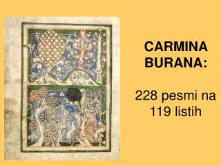 CARMINA BURANA: 228 pesmi na 119 listih