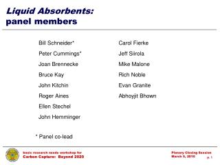 Liquid Absorbents: panel members
