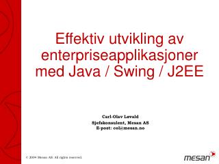 Effektiv utvikling av enterpriseapplikasjoner med Java / Swing / J2EE