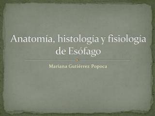 Anatomía, histología y fisiología de Esófago