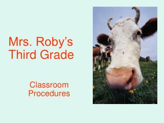 Mrs. Roby’s Third Grade