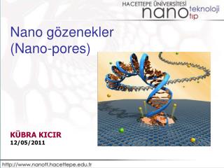 Nano gözenekler (Nano-pores) KÜBRA KICIR 12/05/2011