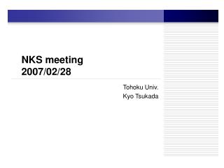 NKS meeting 2007/02/28