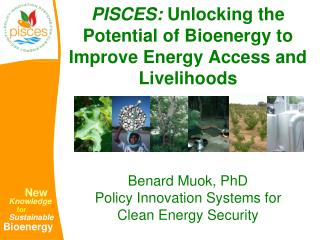 PISCES: Unlocking the Potential of Bioenergy to Improve Energy Access and Livelihoods
