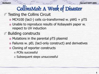CollinsMod: A Week of Disaster