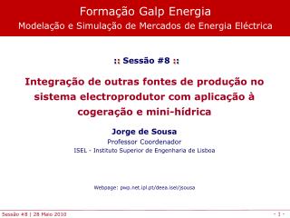 Formação Galp Energia Modelação e Simulação de Mercados de Energia Eléctrica