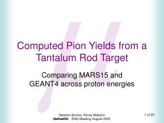 Computed Pion Yields from a Tantalum Rod Target
