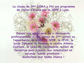 La classe de 3 ème DIMA a fini son programme de visites d’écoles par la SEPR à Lyon.