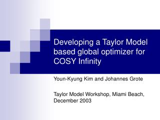 Developing a Taylor Model based global optimizer for COSY Infinity