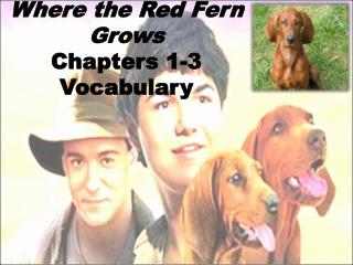 Where the Red Fern Grows Chapters 1-3 Vocabulary