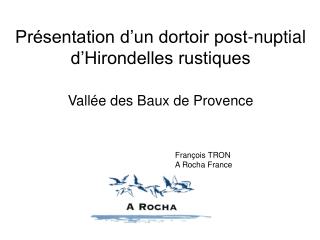 Présentation d’un dortoir post-nuptial d’Hirondelles rustiques Vallée des Baux de Provence