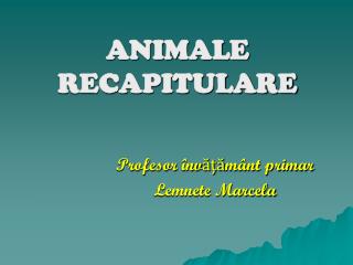ANIMALE RECAPITULARE