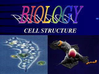 CELL STRUCTURE