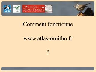 Comment fonctionne atlas-ornitho.fr ?