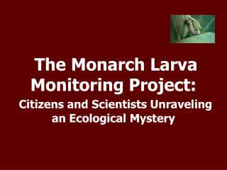 The Monarch Larva Monitoring Project: Citizens and Scientists Unraveling an Ecological Mystery