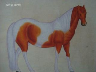 郎世甯畫的馬