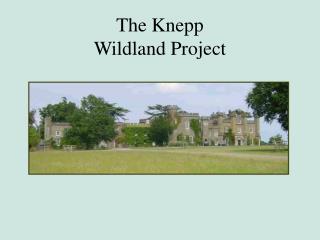 The Knepp Wildland Project