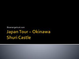 Japan Tour – Okinawa Shuri Castle