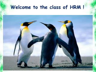 Welcome to the class of HRM !