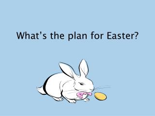 What’s the plan for Easter?