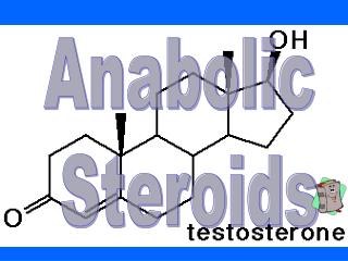 Steroids anti catabolic