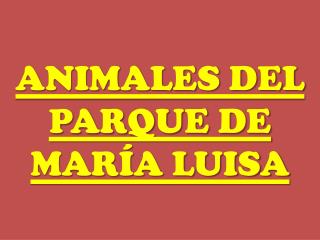 ANIMALES DEL PARQUE DE MARÍA LUISA