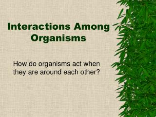 interactions among organisms between ecology organism their living each interacting other environment study take place types example ppt powerpoint presentation