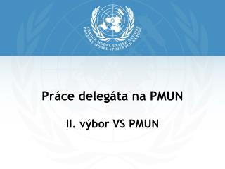 Práce delegáta na PMUN II. výbor VS PMUN