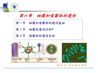 第六章 细菌和噬菌体的遗传