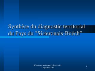Synthèse du diagnostic territorial du Pays du &quot;Sisteronais-Buëch&quot;