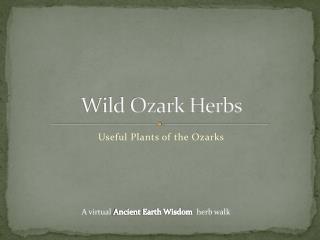 Wild Ozark Herbs