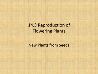 14.3 Reproduction of Flowering Plants