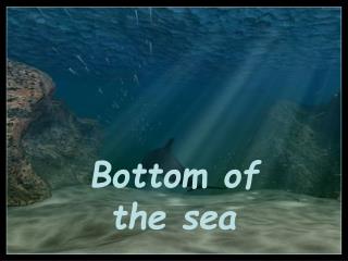 Bottom of the sea