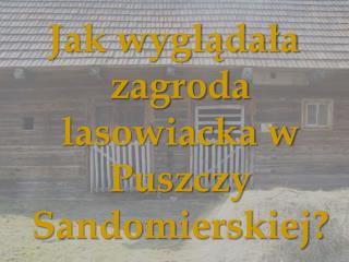 Jak wyglądała zagroda lasowiacka w Puszczy Sandomierskiej?
