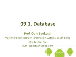 09.1. Database