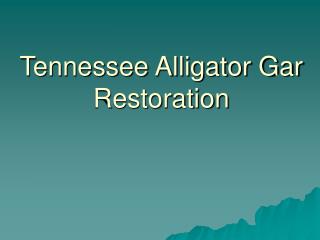 Tennessee Alligator Gar Restoration