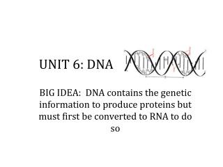 UNIT 6: DNA