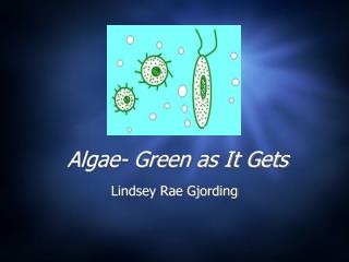 Algae- Green as It Gets