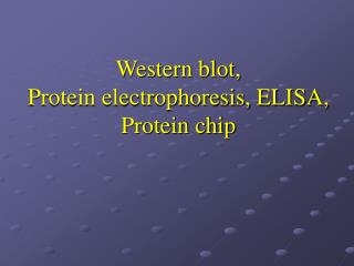Western blot, Protein electrophoresis, ELISA, Protein chip