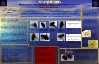 Fly Linkage Study