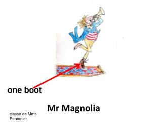 Mr Magnolia