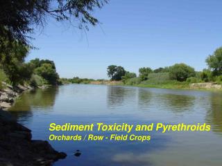 Sediment Toxicity and Pyrethroids Orchards / Row - Field Crops
