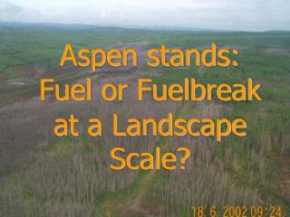 Aspen stands: Fuel or Fuelbreak at a Landscape Scale?