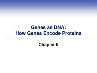 Genes as DNA: How Genes Encode Proteins